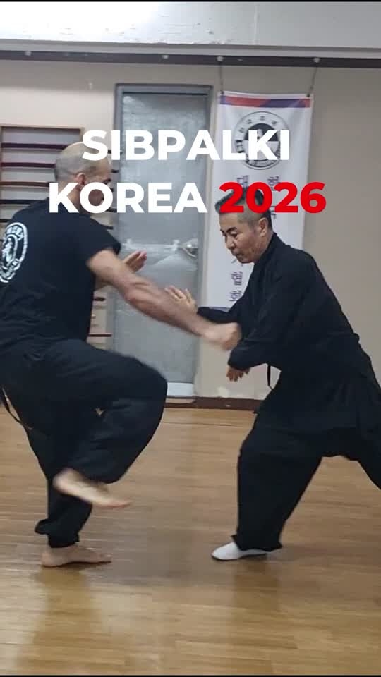 스페인 하계수련 홍보영상